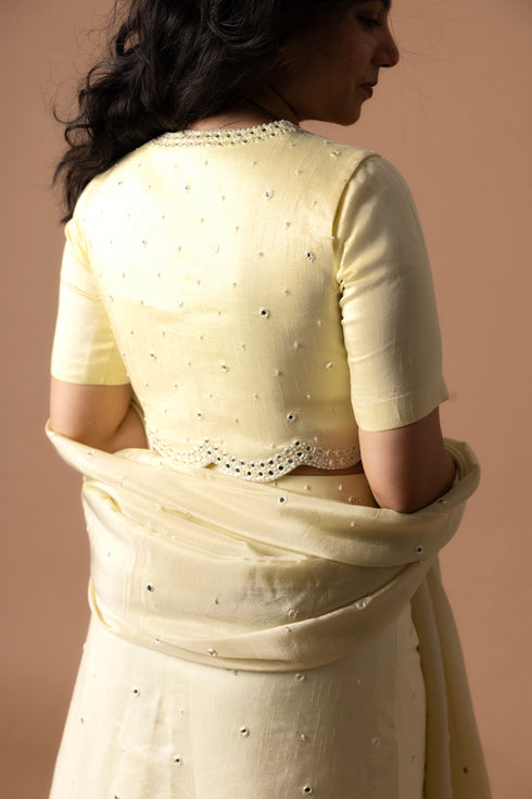 Raw Silk Lehenga And Blouse With Organza Dupatta