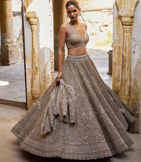 Golden Beige Organza Lehenga Set