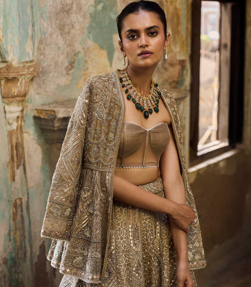 Golden Beige Organza Lehenga Set