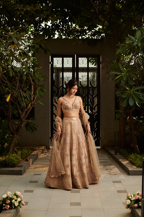 Tuscan Beige Lehenga Set