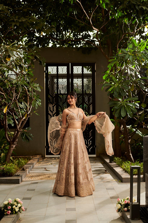 Tuscan Beige Lehenga Set