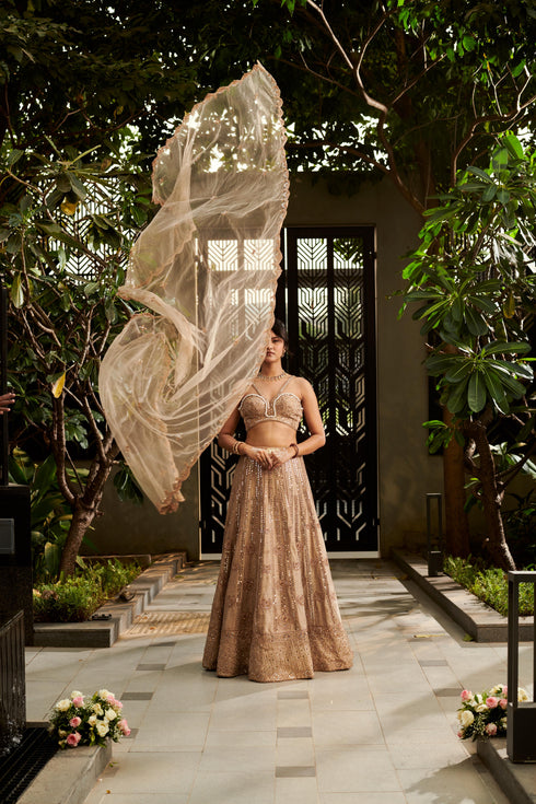 Tuscan Beige Lehenga Set