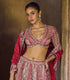 Red Raw Silk Lehenga Set