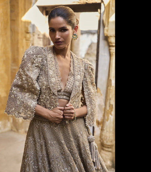 Golden Beige Organza Lehenga Set