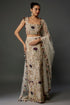 Off-White Embroidered Choli And Skirt With Dupatta