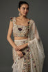 Off-White Embroidered Choli And Skirt With Dupatta
