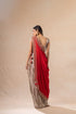 Drape Tissue Saree
