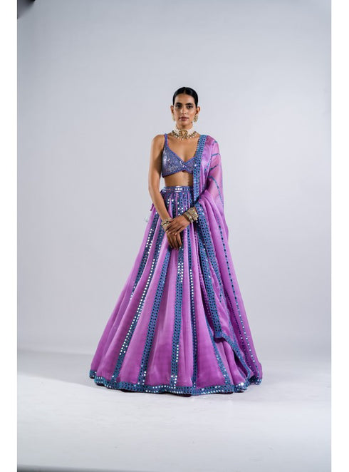 Mauve Mirror Seam Lehenga With Metallic Blouse