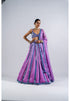 Mauve Mirror Seam Lehenga With Metallic Blouse