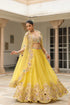 Gulzar Cape Scallop Lehenga Set