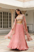 Gulzar Cape Lehenga Set
