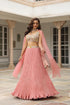 Gulzar Choker Lehenga Set