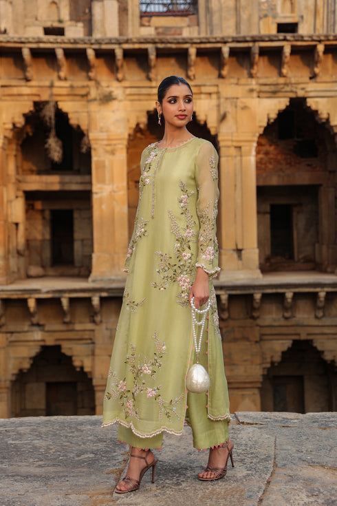 Vaayu Green Multicolor Jaal Kurta Set