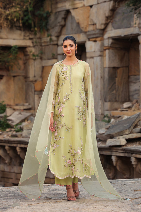 Vaayu Green Multicolor Jaal Kurta Set