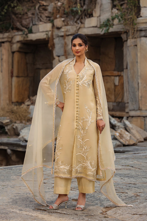 Vaayu Beige Heavy Jacket Kurta Set