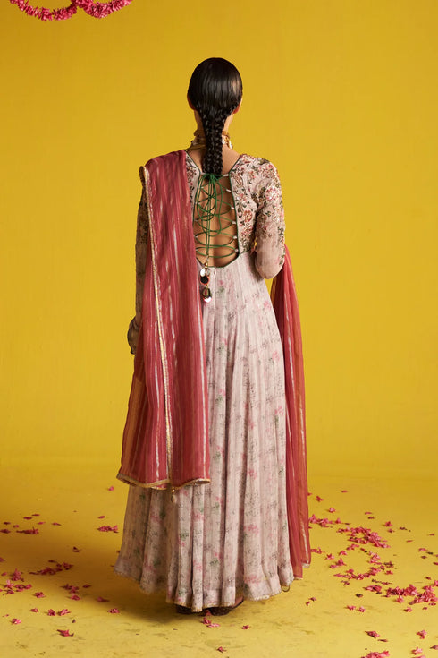 Mahi Multi Color Anarkali Set
