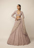 Ash Pink Lehenga Set