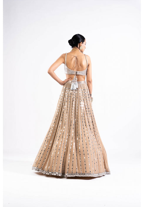 Beige Linear Drop Lehenga With Metallic Blouse