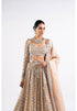 Beige Linear Drop Lehenga Set