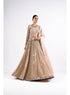 Beige Linear Drop Lehenga Set