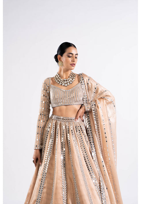 Beige Mirror Seam Lehenga With Mirror Blouse