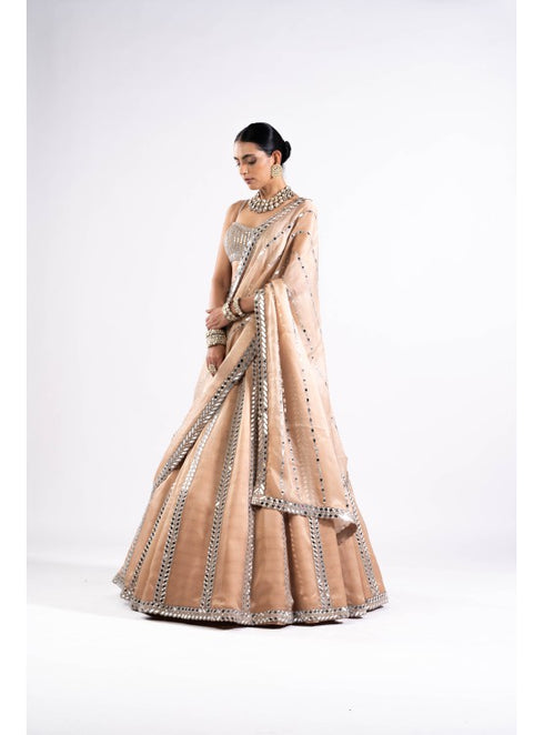 Beige Mirror Seam Lehenga Set