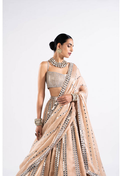 Beige Mirror Seam Lehenga Set