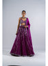 Pop Wine Linear Drop Lehenga With Metallic Blouse
