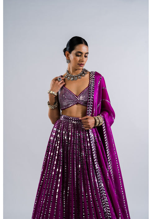Pop Wine Linear Drop Lehenga With Metallic Blouse