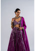 Pop Wine Linear Drop Lehenga With Metallic Blouse
