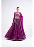 Pop Wine Linear Drop Lehenga Set
