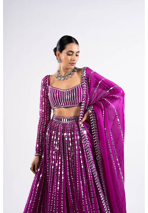 Pop Wine Linear Drop Lehenga Set
