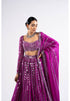 Pop Wine Linear Drop Lehenga Set