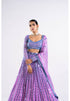 Mauve Linear Drop Lehenga Set