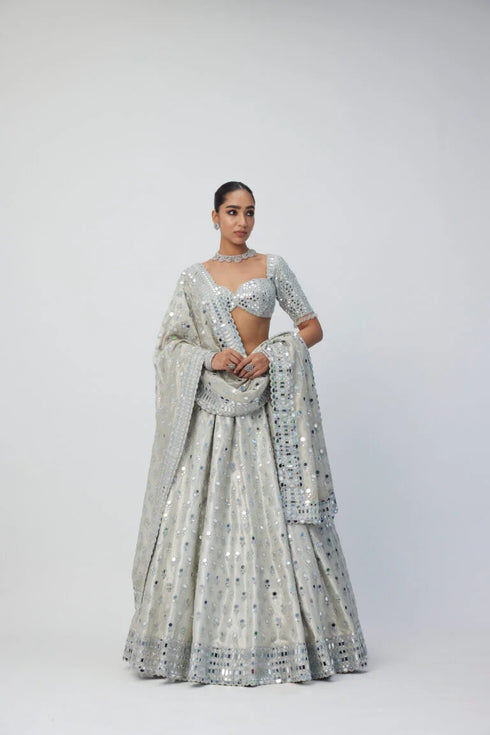 Silver Shimmer Organza Lehenga Set