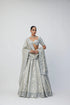 Silver Shimmer Organza Lehenga Set