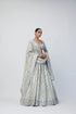 Silver Shimmer Organza Lehenga Set
