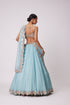 Powder Blue Organza Hand Embroidered Lehenga Set