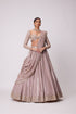 Ash Pink Sequin And Mirror Embroidered Lehenga Set