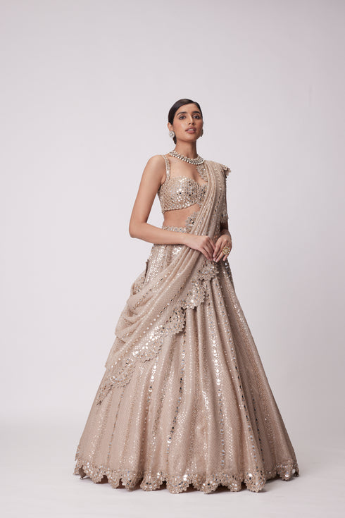 Light Beige Sequin Emrboidered Lehenga Set