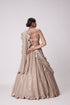 Light Beige Sequin Emrboidered Lehenga Set