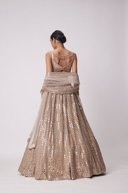 Light Beige Hand Embroidered Lehenga Set