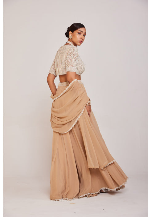 Beige Lehenga Pants Set