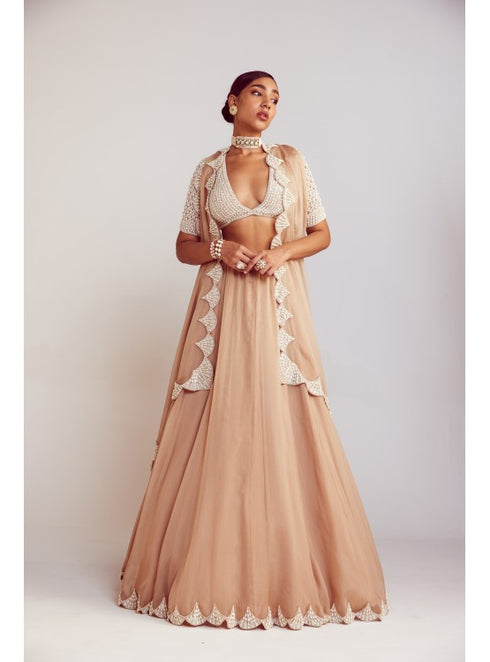 Beige Organza Lehenga Set