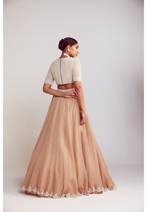 Beige Organza Lehenga Set