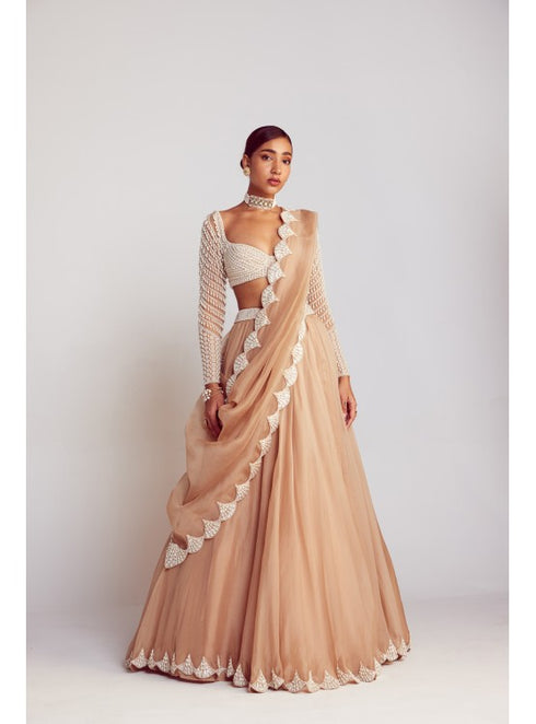 Beige Pearl Chandelier Drop Organza Lehenga Set