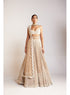 Beige Chandelier Pearl Sweetheart Neck Lehenga Set