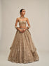 Light Beige Big Mirror Cutwork Lehenga With Corset Set