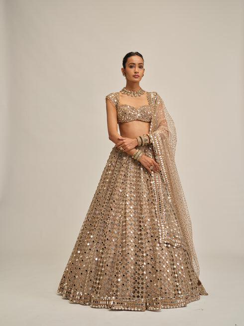 Light Beige Big Mirror Cutwork Lehenga Set