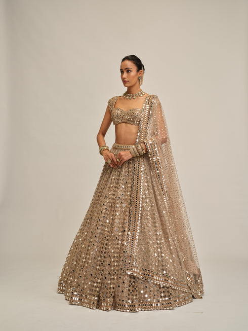 Light Beige Big Mirror Cutwork Lehenga Set